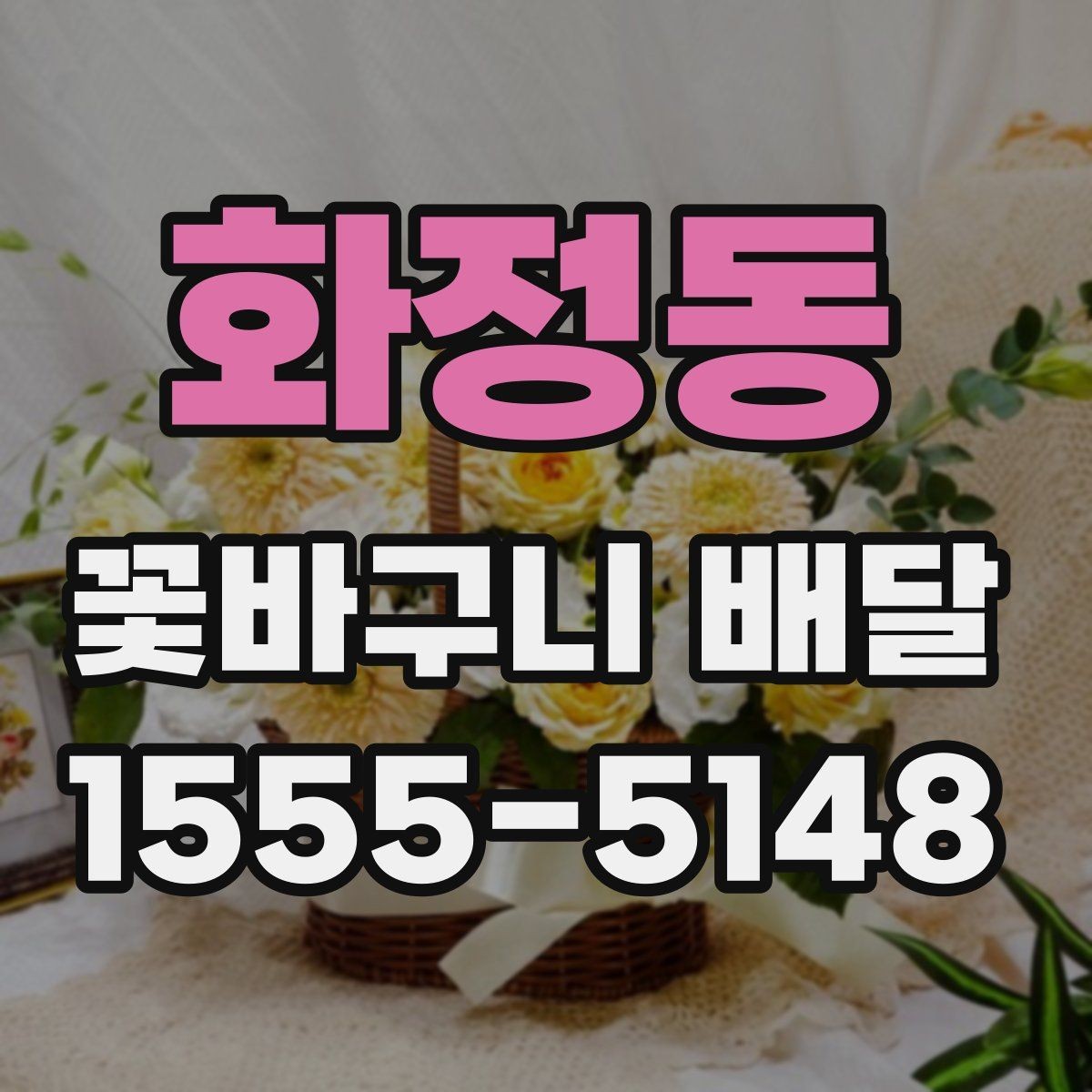 화정동 꽃바구니 배달 이벤트용 구성 고르기
