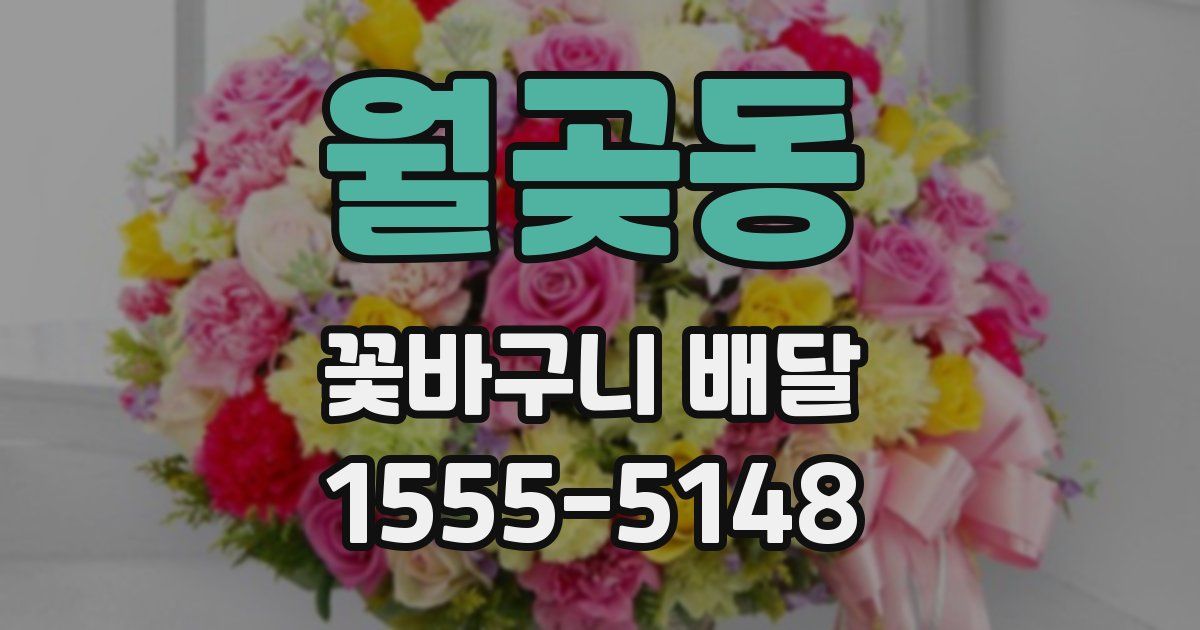 월곶동 꽃바구니 배달