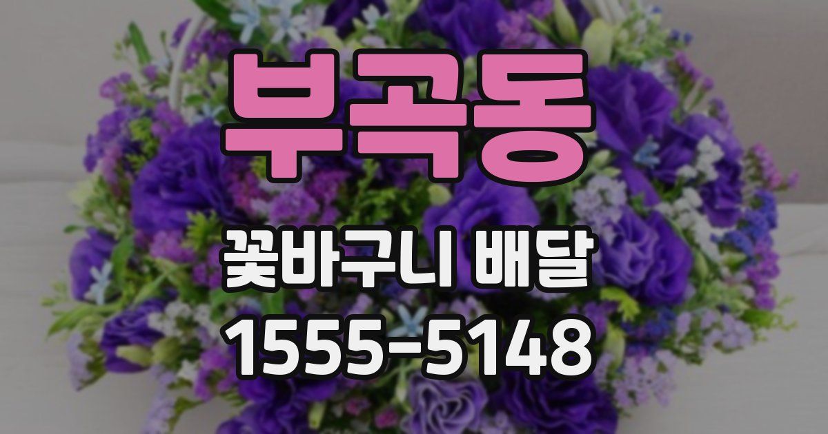부곡동 꽃바구니 배달