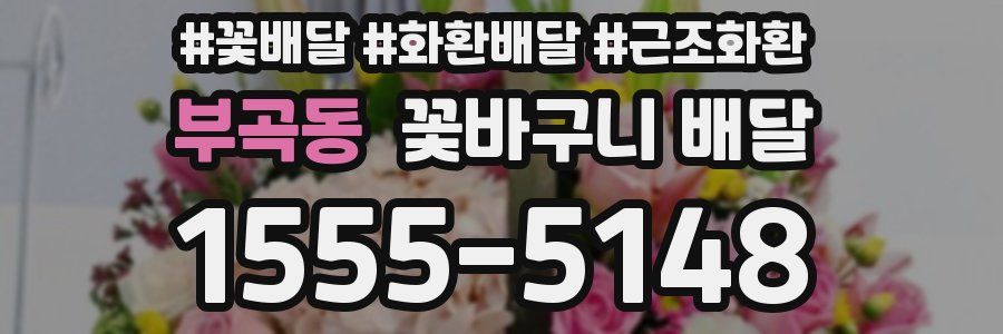 부곡동 꽃바구니 배달