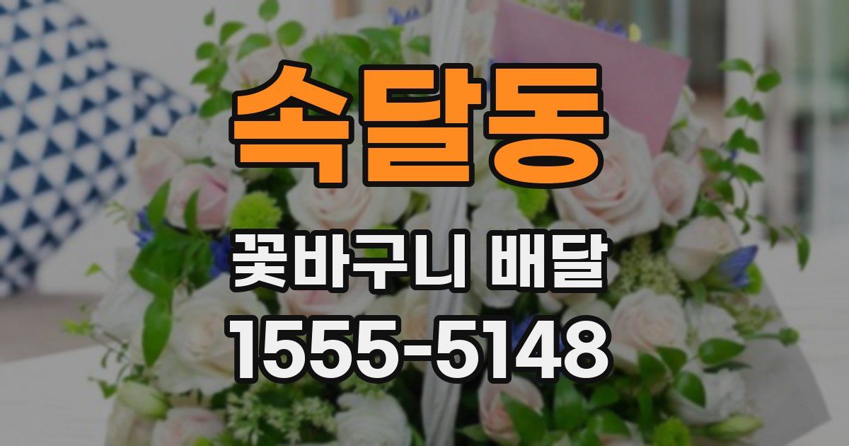 속달동 꽃바구니 배달