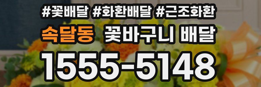 속달동 꽃바구니 배달