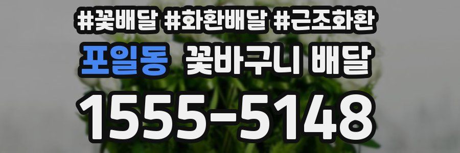 포일동 꽃바구니 배달