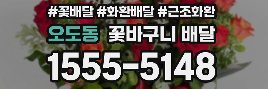 오도동 꽃바구니 배달