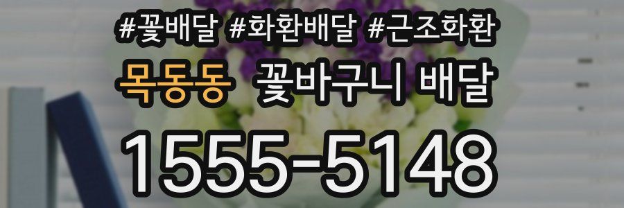 목동동 꽃바구니 배달