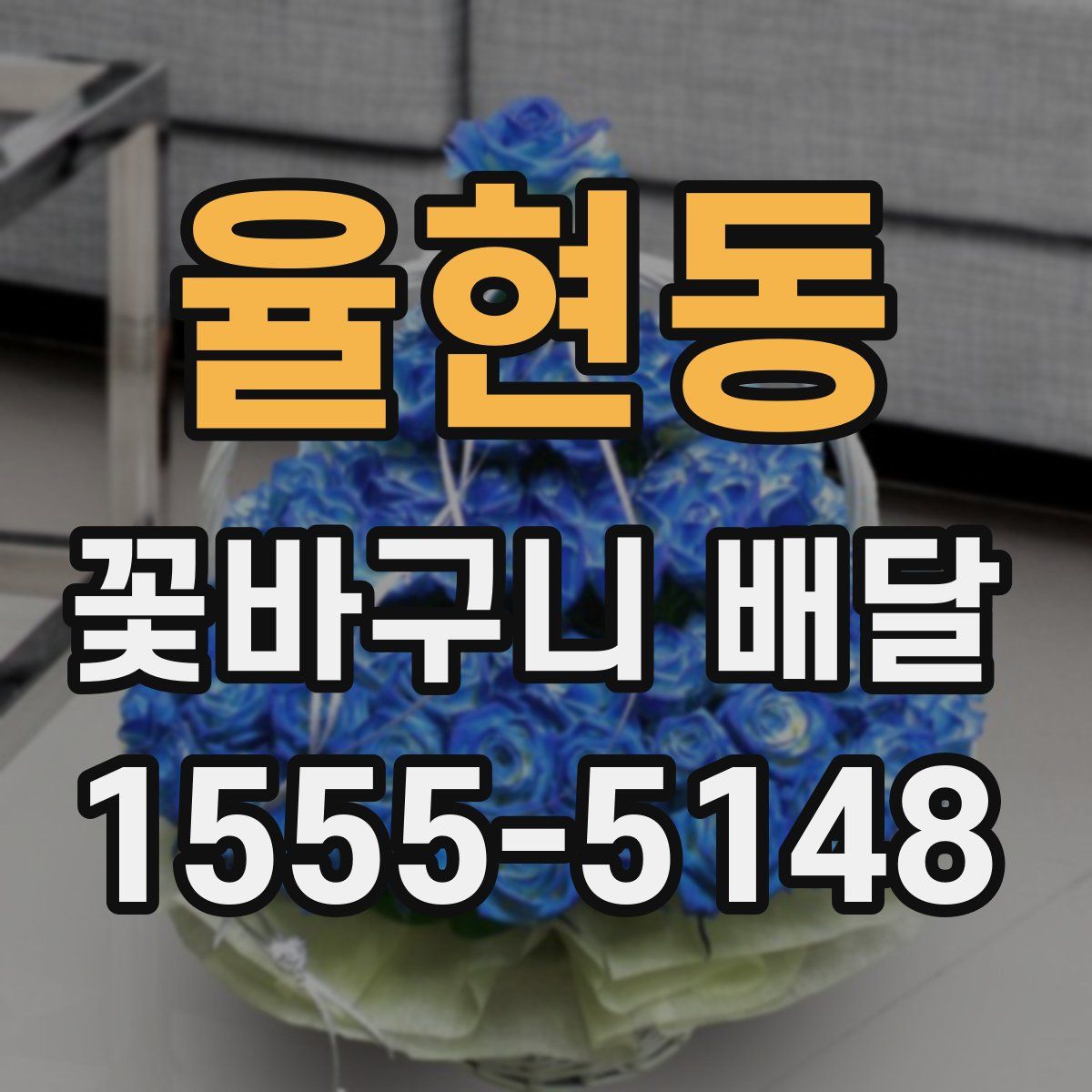 율현동 꽃바구니 배달