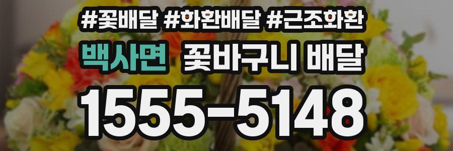 백사면 꽃바구니 배달
