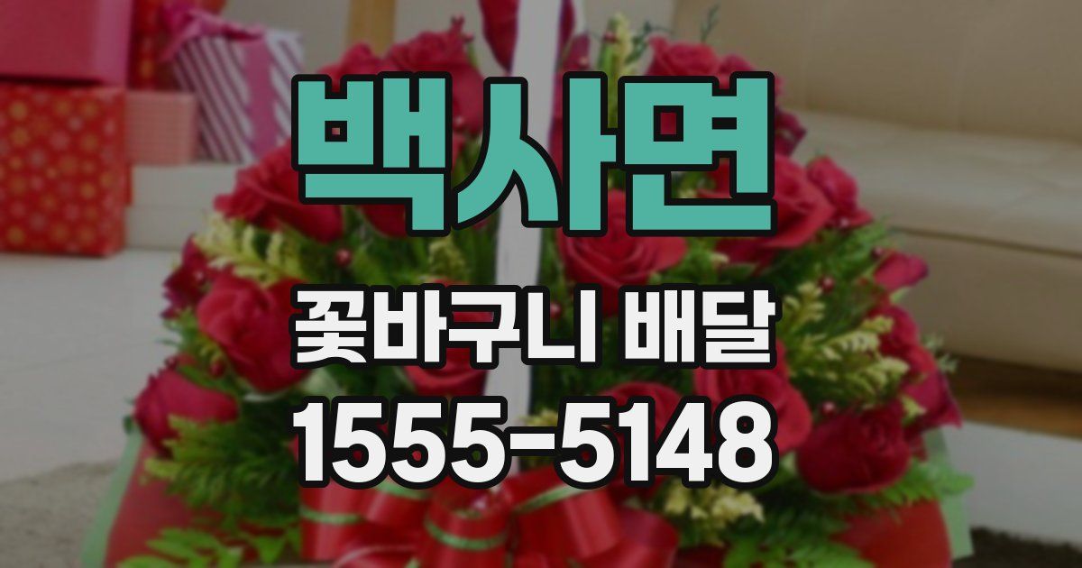 백사면 꽃바구니 배달