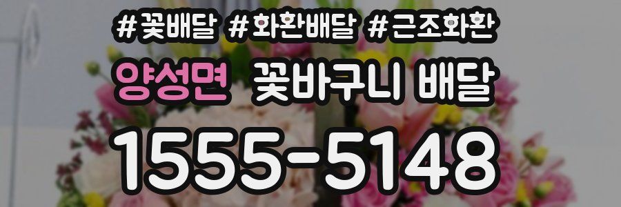 양성면 꽃바구니 배달