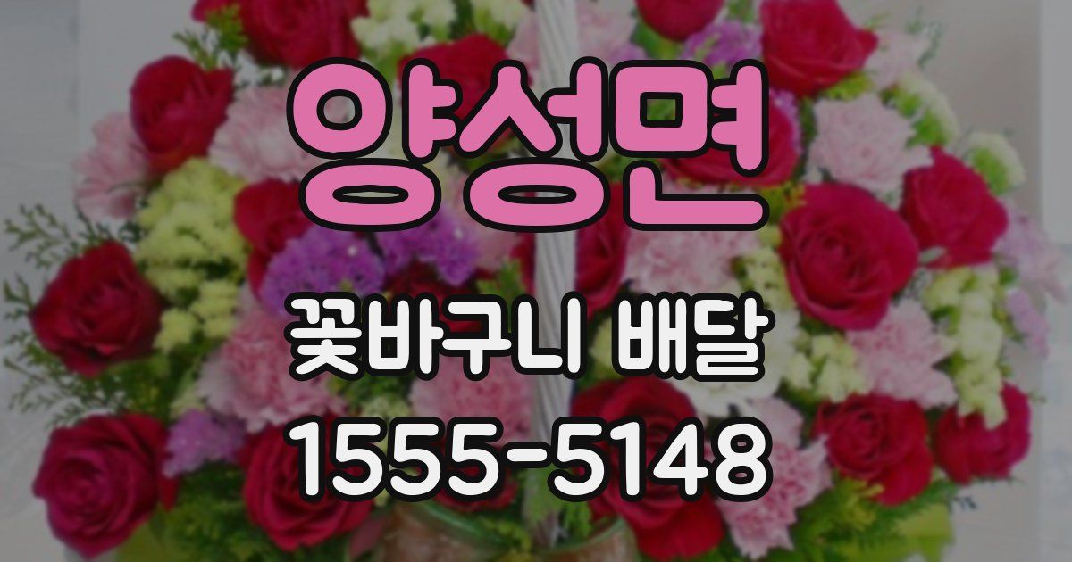 양성면 꽃바구니 배달