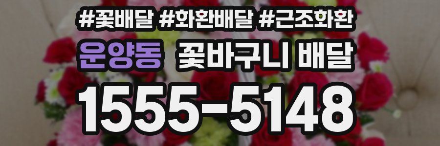 운양동 꽃바구니 배달