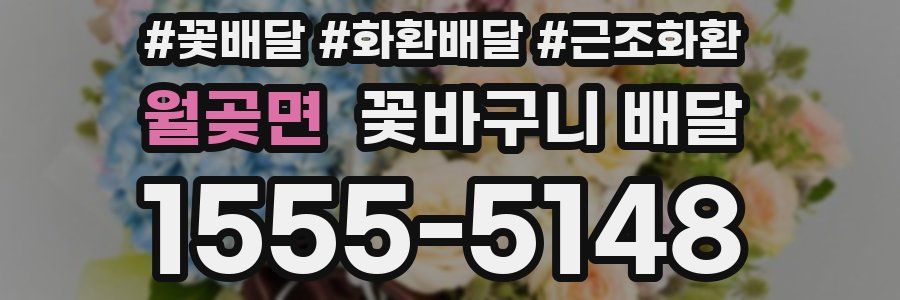 월곶면 꽃바구니 배달