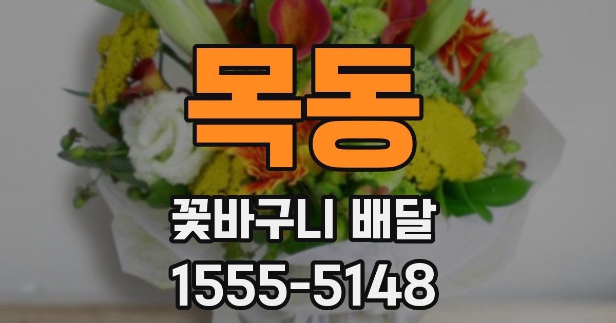 목동 꽃바구니 배달