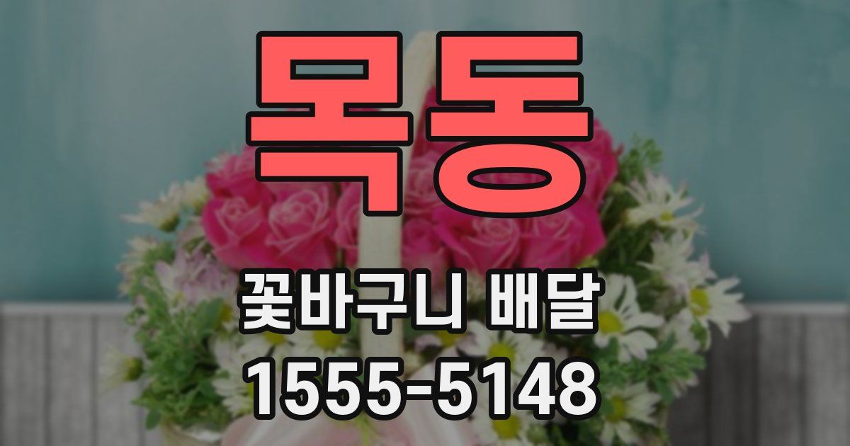 목동 꽃바구니 배달