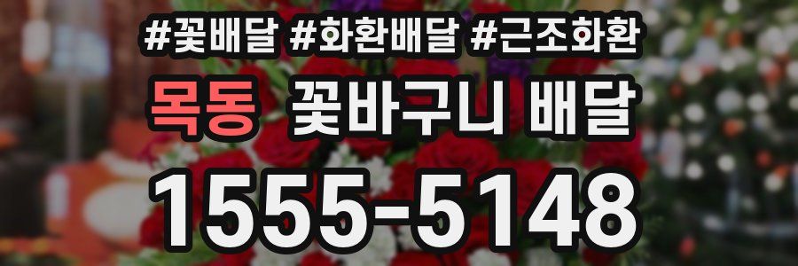 목동 꽃바구니 배달