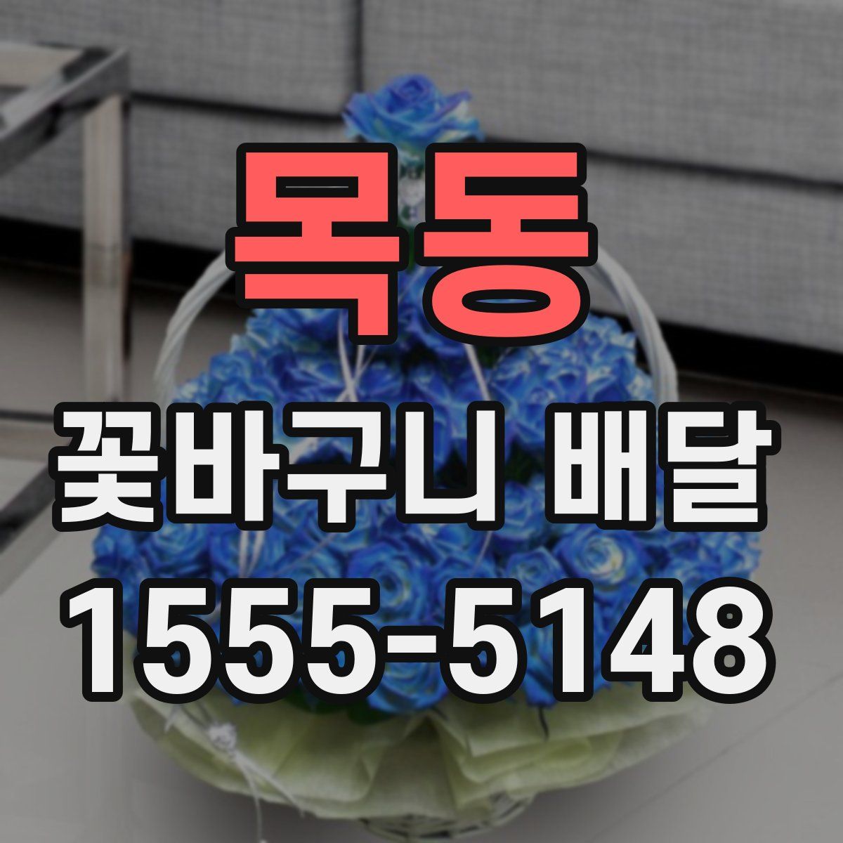 목동 꽃바구니 배달