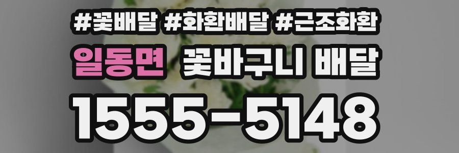 일동면 꽃바구니 배달