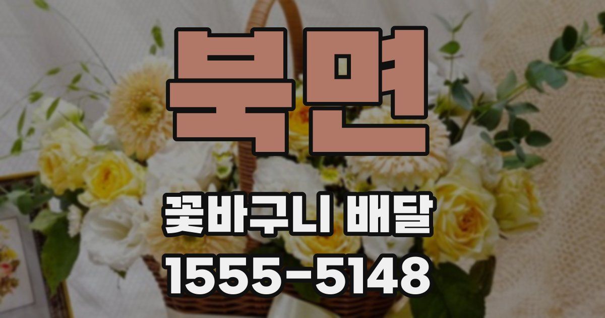 북면 꽃바구니 배달