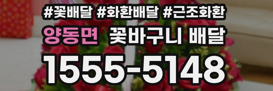 양동면 꽃바구니 배달