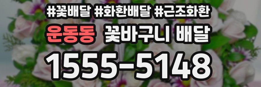 운동동 꽃바구니 배달