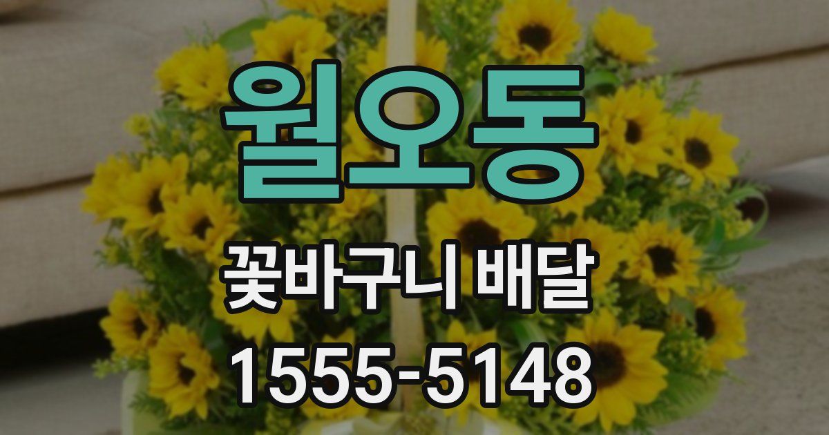 월오동 꽃바구니 배달