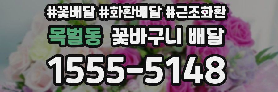 목벌동 꽃바구니 배달
