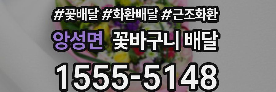 앙성면 꽃바구니 배달