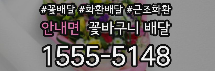 안내면 꽃바구니 배달