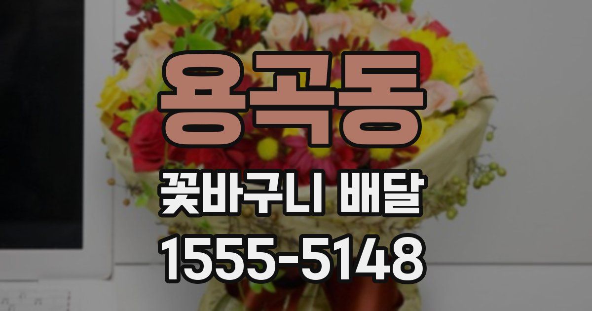 용곡동 꽃바구니 배달