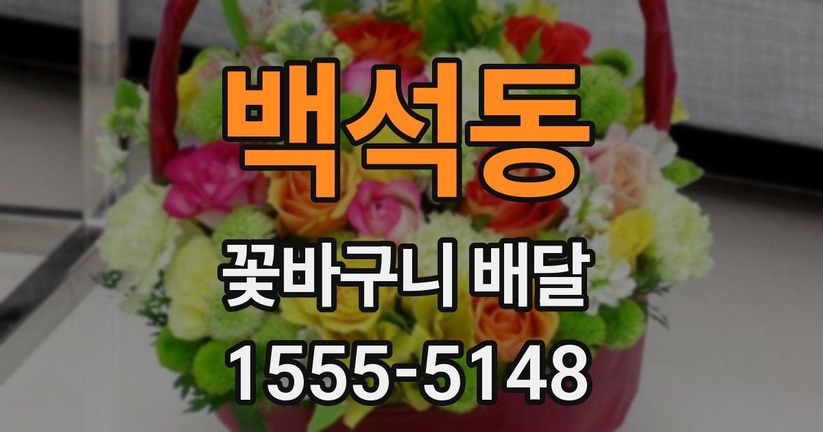 백석동 꽃바구니 배달