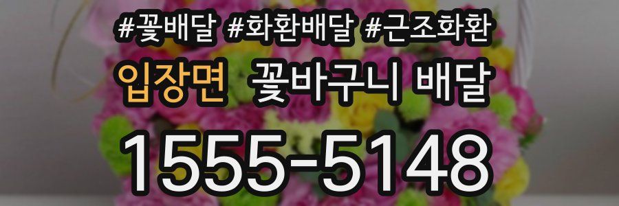 입장면 꽃바구니 배달