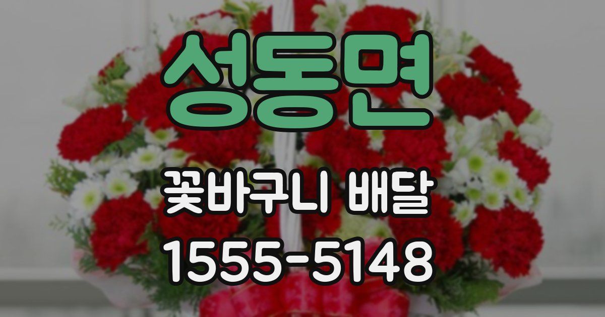 성동면 꽃바구니 배달