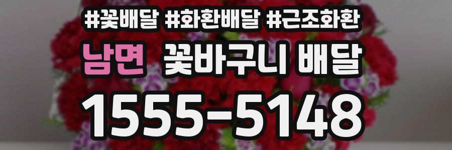 남면 꽃바구니 배달