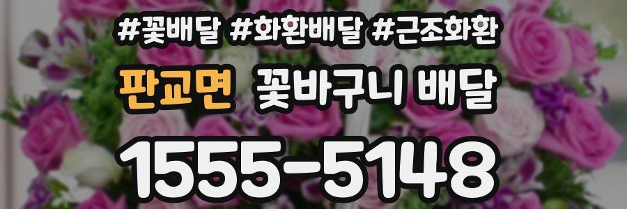 판교면 꽃바구니 배달