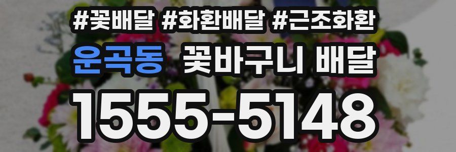 운곡동 꽃바구니 배달