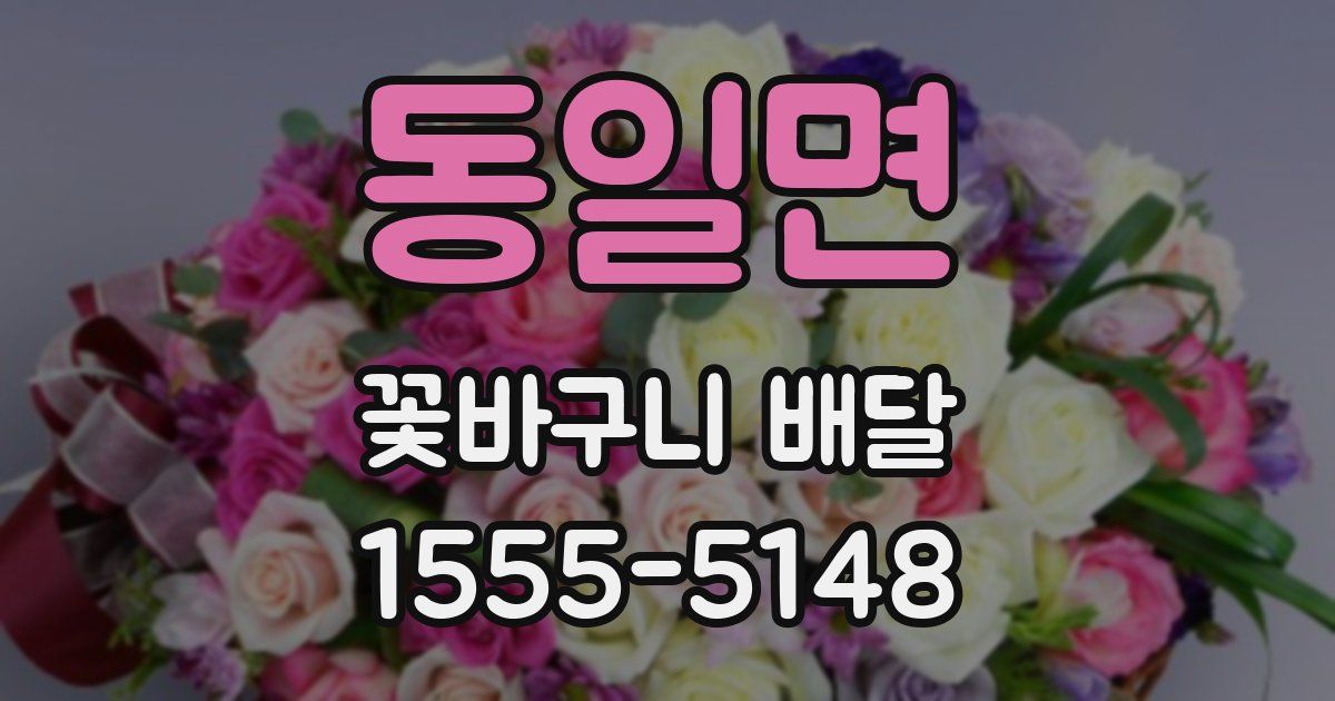 동일면 꽃바구니 배달