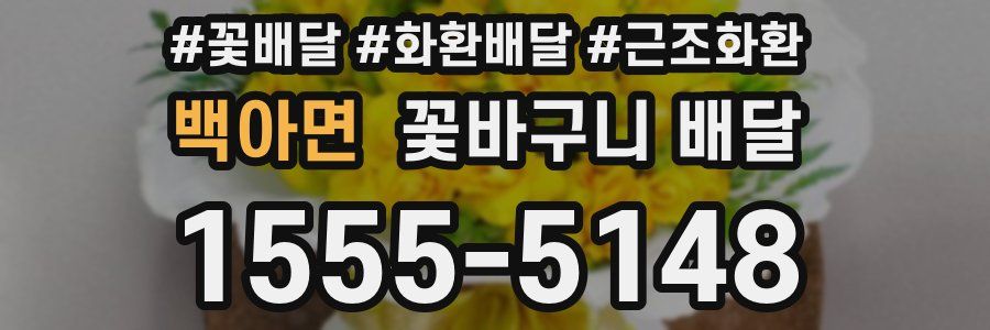 백아면 꽃바구니 배달