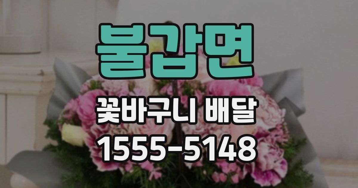 불갑면 꽃바구니 배달