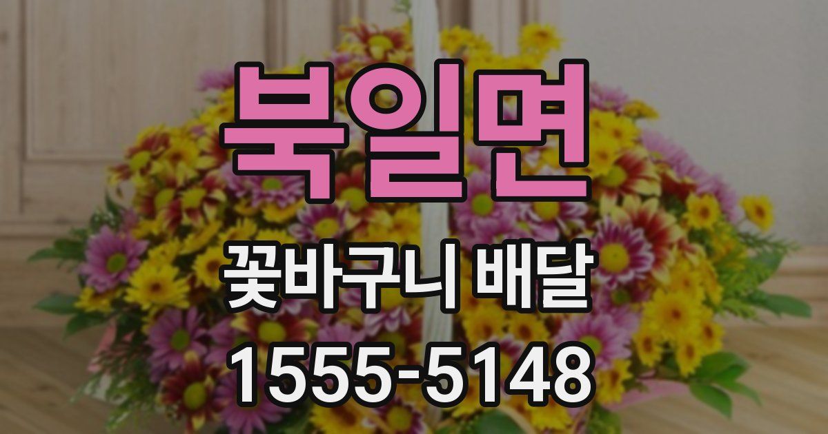 북일면 꽃바구니 배달