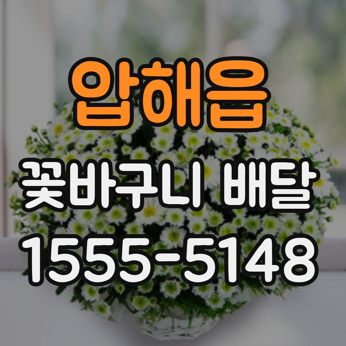 압해읍 꽃바구니 배달