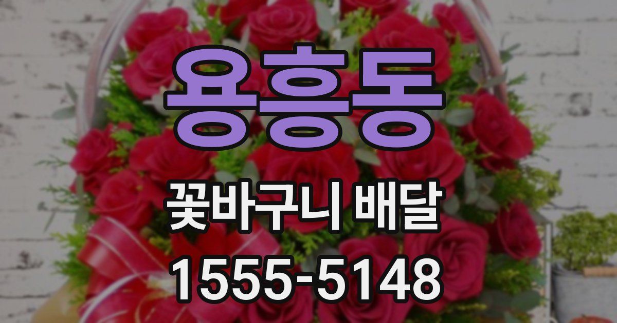 용흥동 꽃바구니 배달