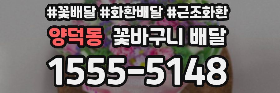 양덕동 꽃바구니 배달