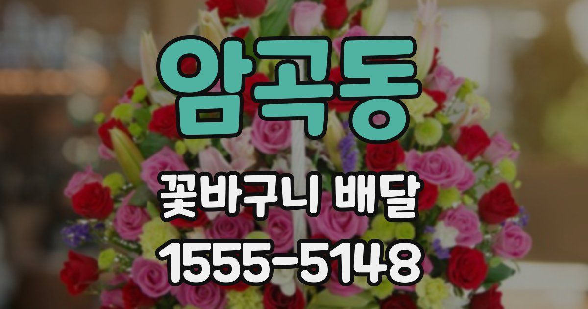 암곡동 꽃바구니 배달