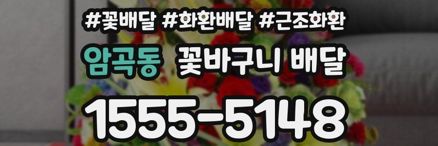 암곡동 꽃바구니 배달