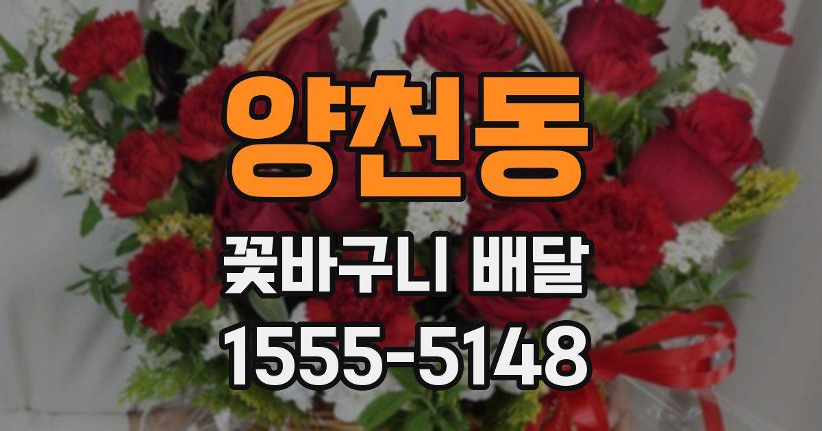 양천동 꽃바구니 배달