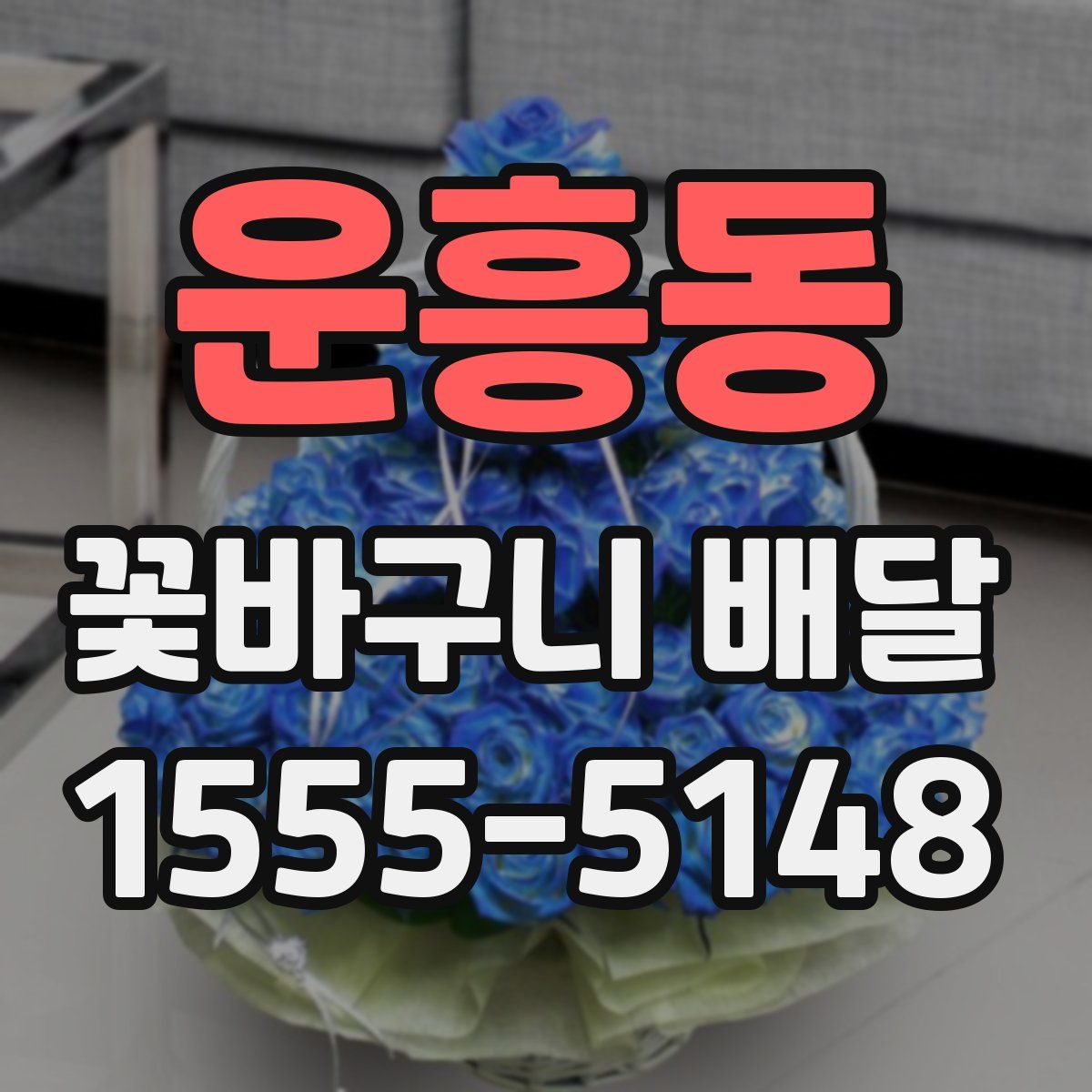 운흥동 꽃바구니 배달