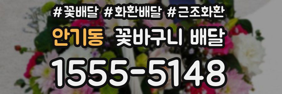 안기동 꽃바구니 배달