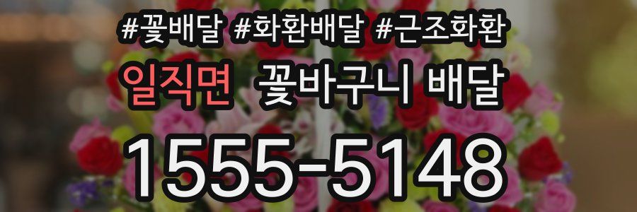 일직면 꽃바구니 배달