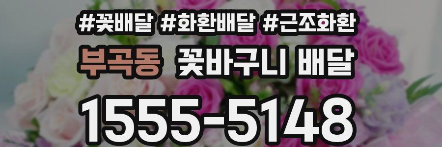 부곡동 꽃바구니 배달