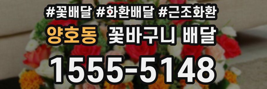 양호동 꽃바구니 배달
